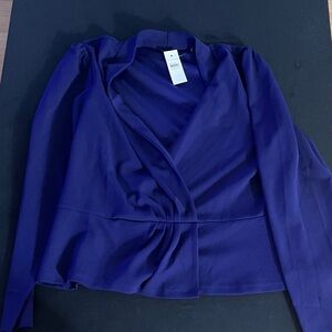 Ann Taylor Deep Blue Blouse
